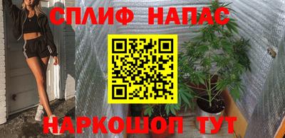 соль ск Новозыбков