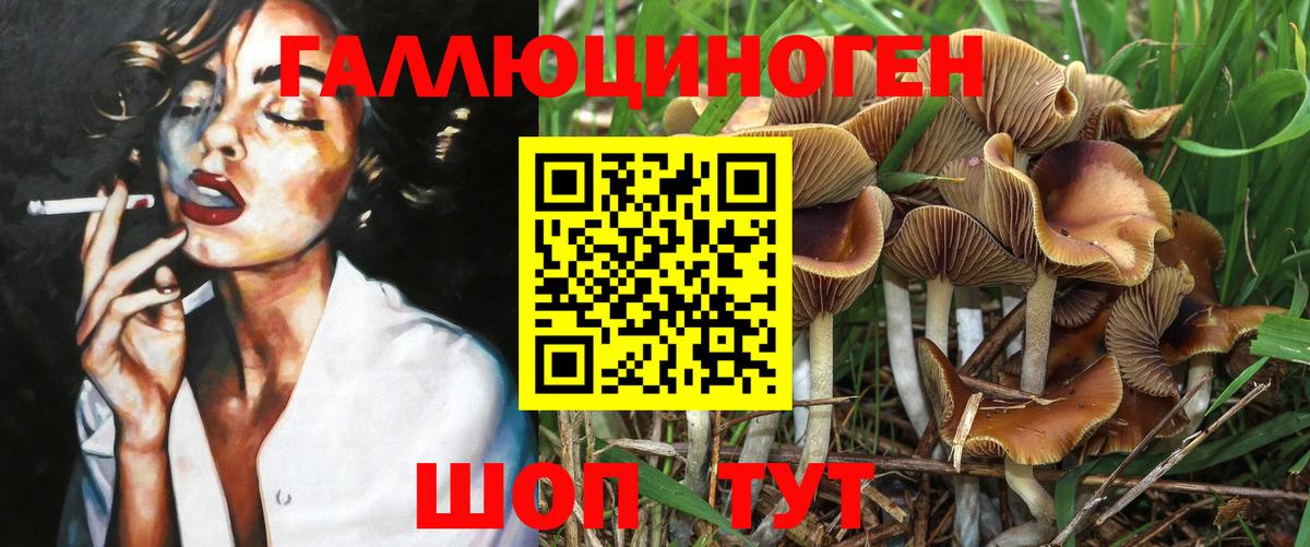 Галлюциногенные грибы прущие грибы Чапаевск