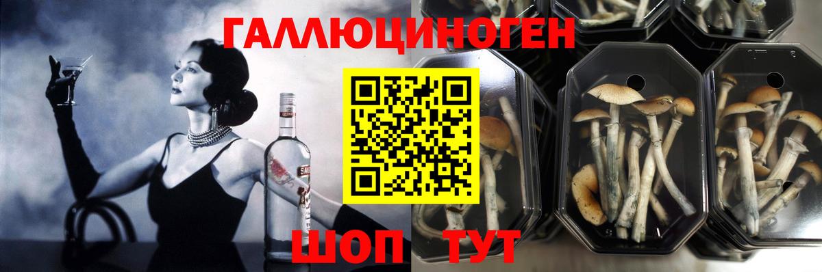 Чапаевск  Галлюциногенные грибы мицелий  Вход с VPN 